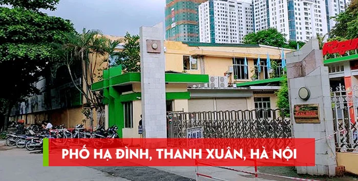 ha-dinh-thanh-xuan